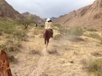 Dr. Steve Carp rides off in the distant sun with his horse.